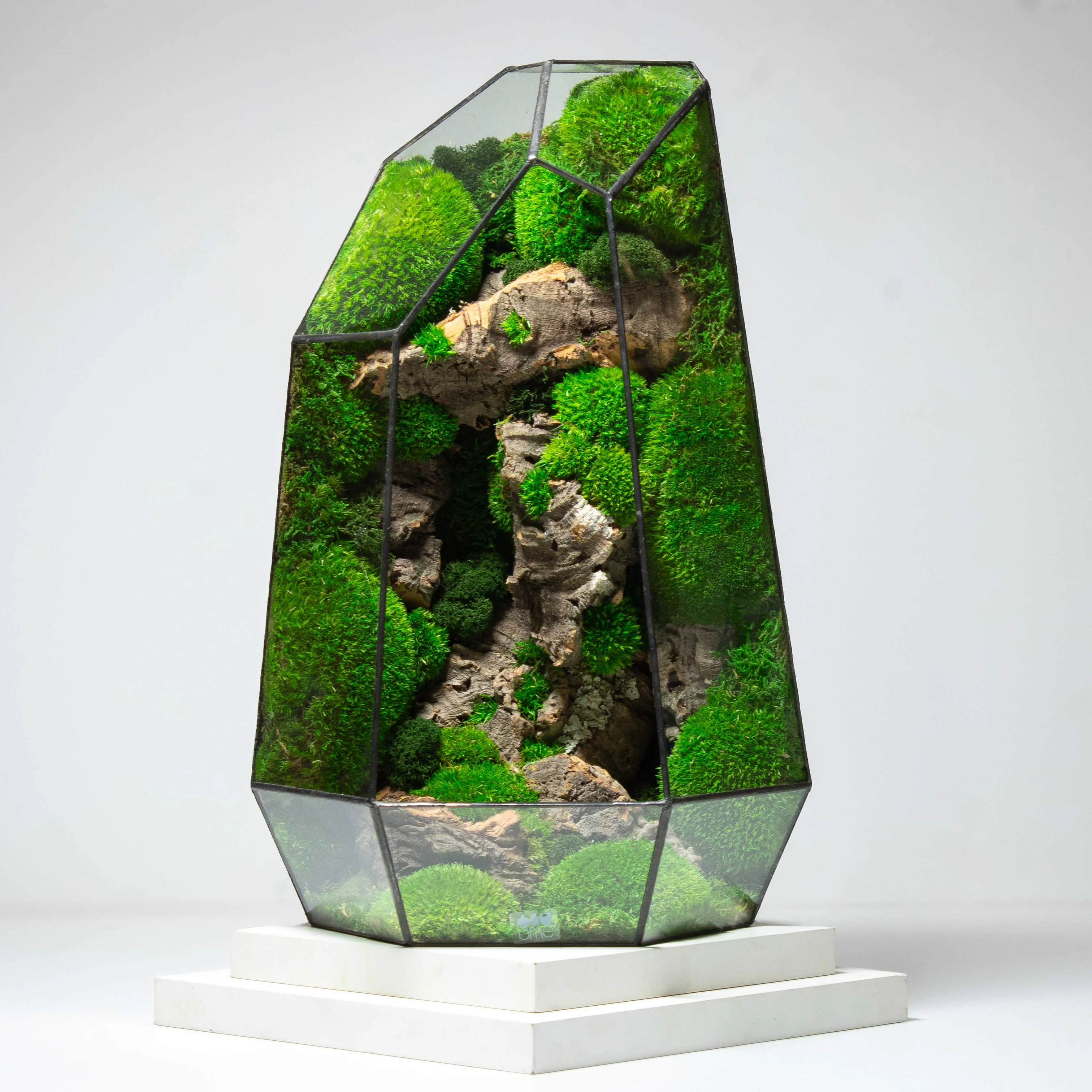 Bring Nature Home with Ome